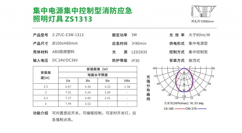 ZS1313 2
